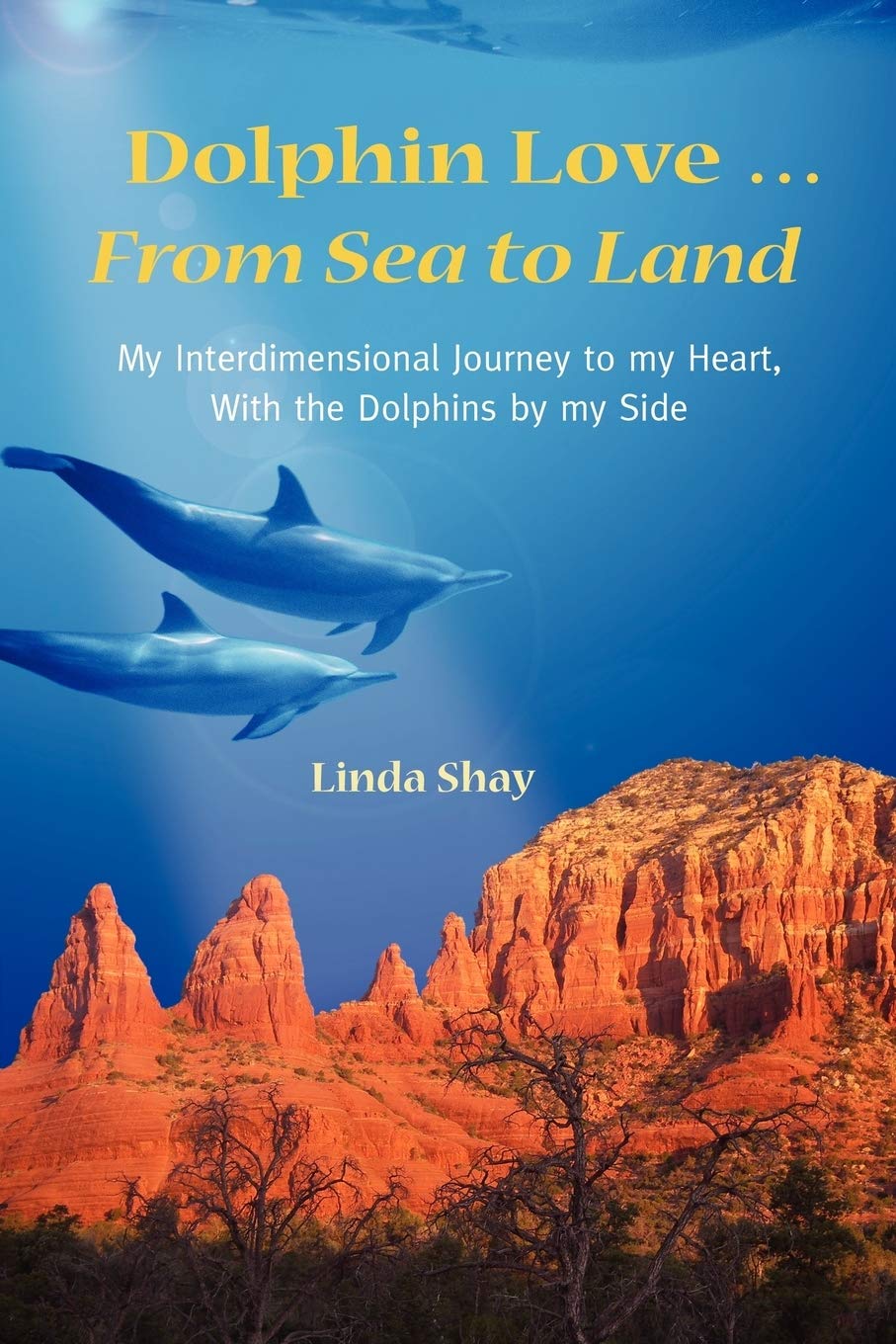 Dolphin Love ... From Sea to Land: My Interdimensional Journey to My Heart-A True Story of Dolphin Consciousness, Dolphin Energy Healing, and Joy: 0984743103