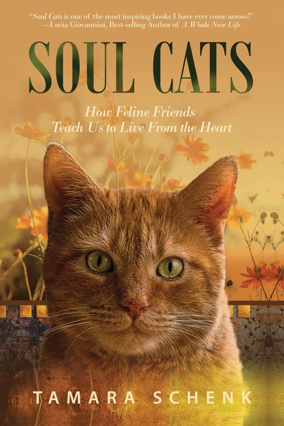 Soul Cats - How Our Feline Friends Teach Us to Live from the Heart: 1641466839