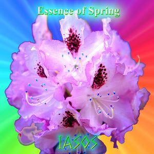 Iasos – Essence of spring